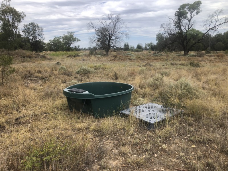 83 Boonangar Rd, Boomi NSW 2405