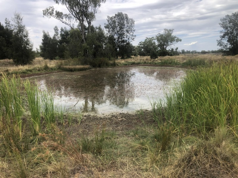 83 Boonangar Rd, Boomi NSW 2405