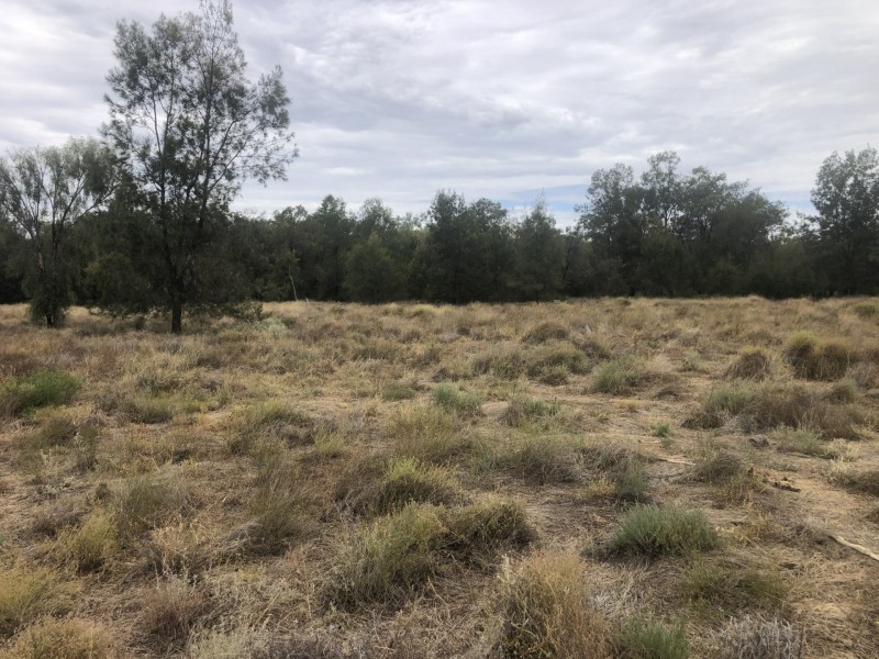 83 Boonangar Rd, Boomi NSW 2405