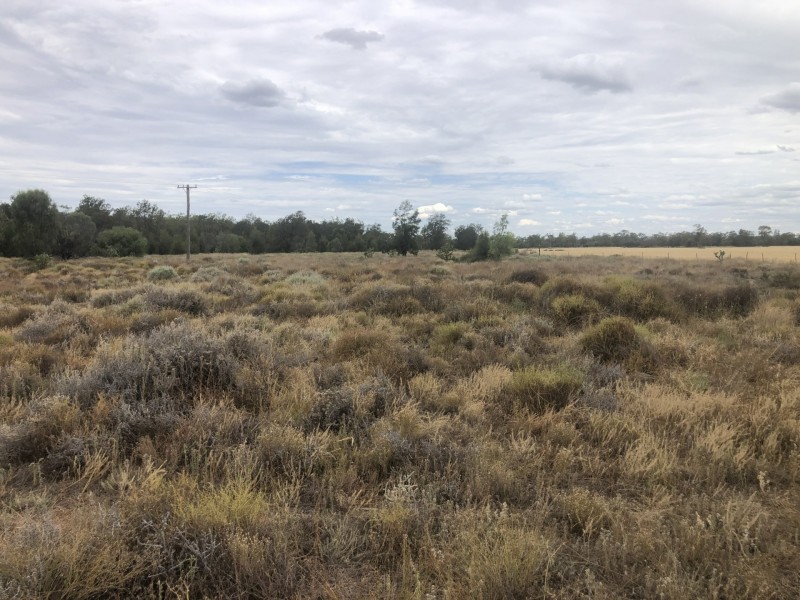 83 Boonangar Rd, Boomi NSW 2405