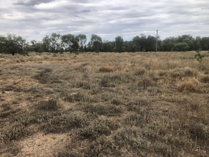 83 Boonangar Rd, Boomi NSW 2405