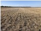 2029 Goodar Rd, Goondiwindi QLD 4390