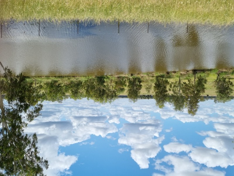 18 Greenup St, Texas NSW 4385