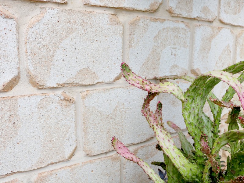 2 Macintyre Street, Inglewood QLD 4387