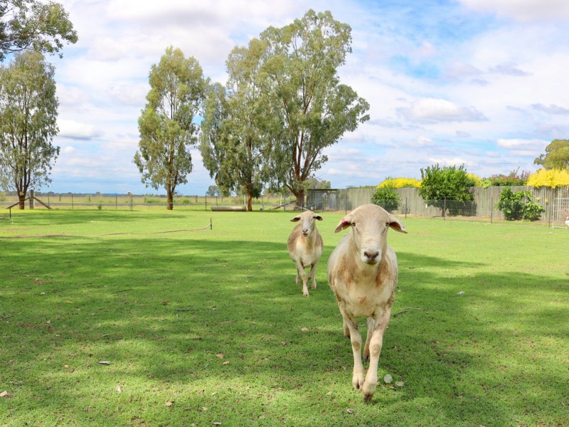 2 Macintyre Street, Inglewood QLD 4387