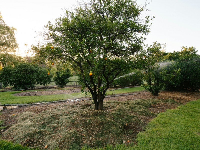 Goondiwindi QLD 4390