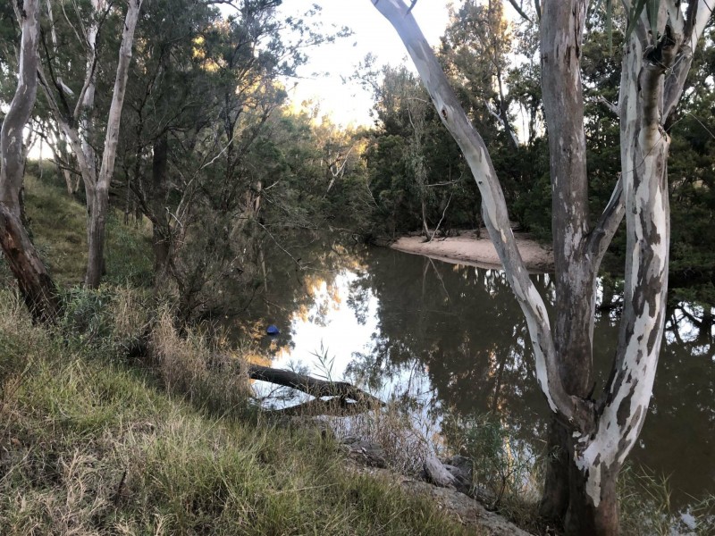 Goondiwindi QLD 4390