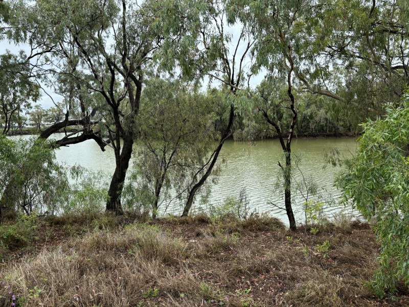 Goondiwindi QLD 4390