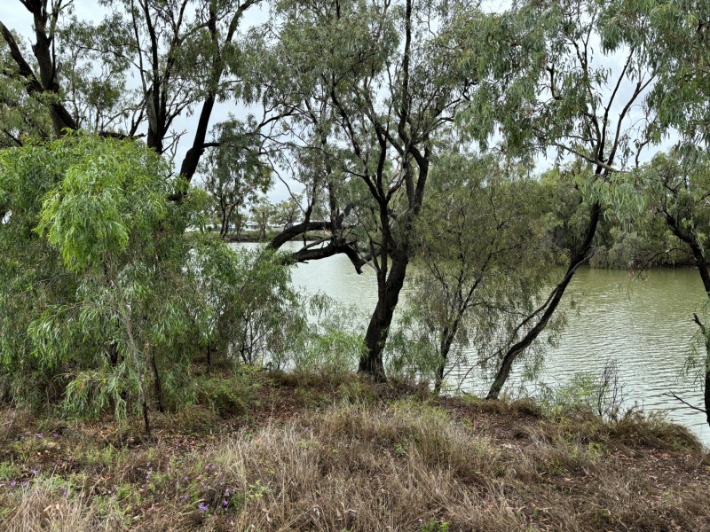 Goondiwindi QLD 4390