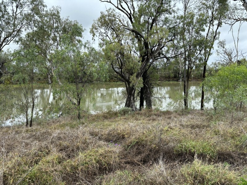 Goondiwindi QLD 4390
