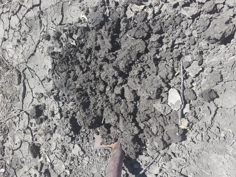 Goondiwindi QLD 4390