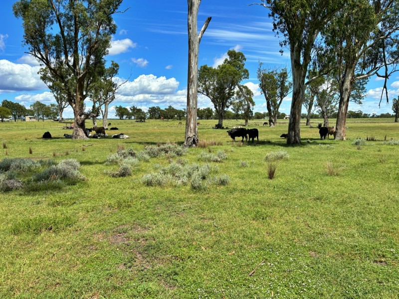 2830 Tarwoona Rd, Texas NSW 4385