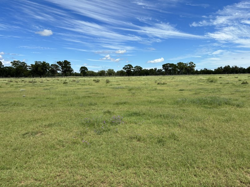 2830 Tarwoona Rd, Texas NSW 4385