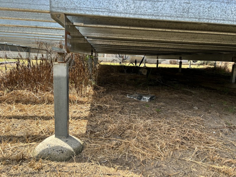 29 Burrel St, Yelarbon QLD 4388