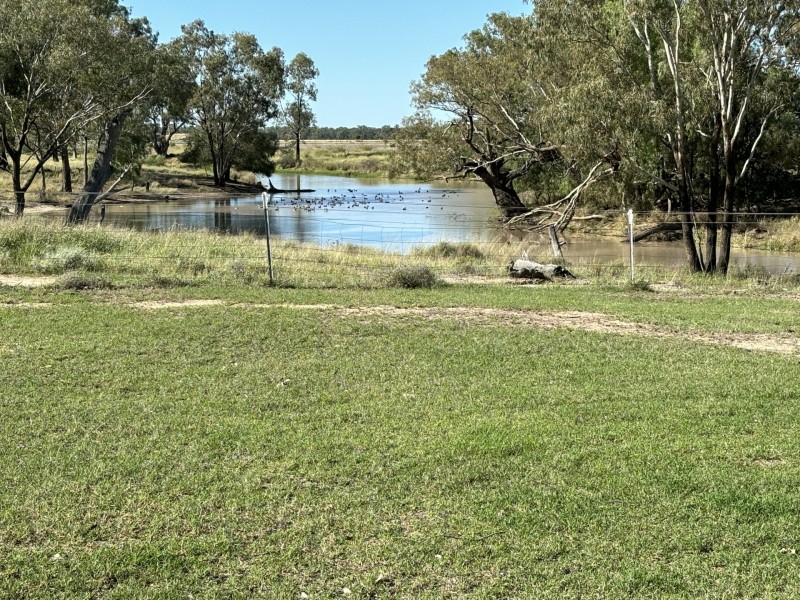 553 Goodar Rd, Goondiwindi QLD 4390