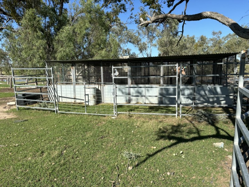 553 Goodar Rd, Goondiwindi QLD 4390