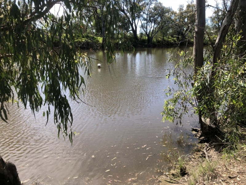 96 Glenoak Rd, Goondiwindi QLD 4390