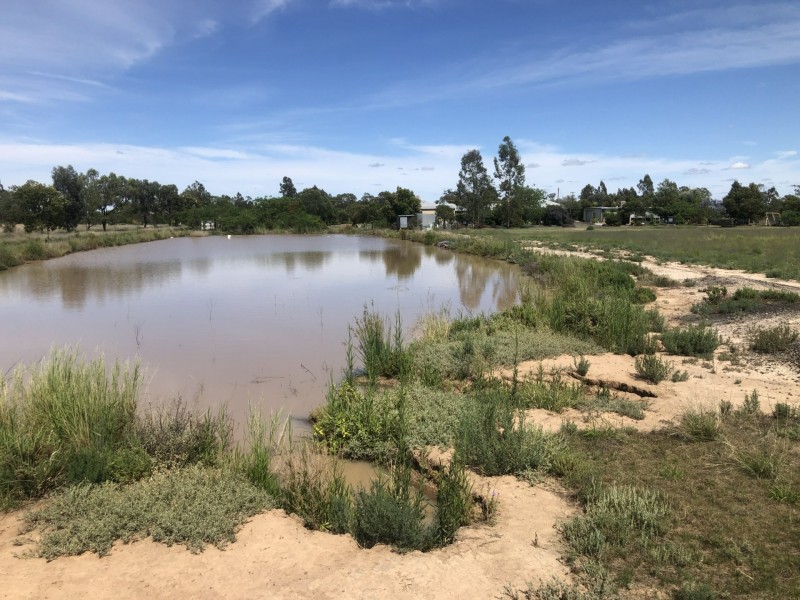 96 Glenoak Rd, Goondiwindi QLD 4390