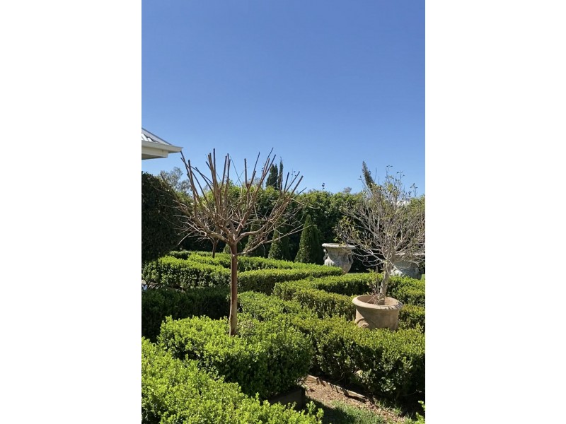 110 Johnston Rd, Goondiwindi QLD 4390
