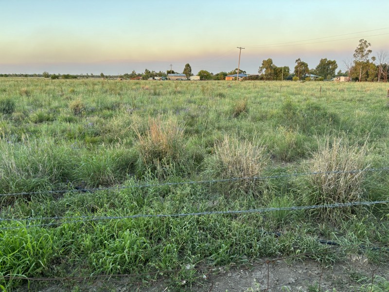 52 Polo Rd, Goondiwindi QLD 4390