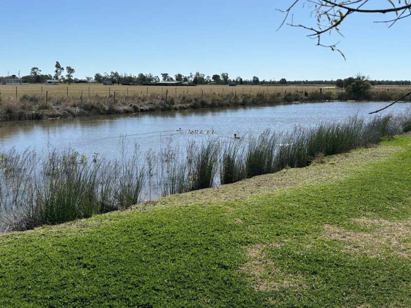 52 Polo Rd, Goondiwindi QLD 4390