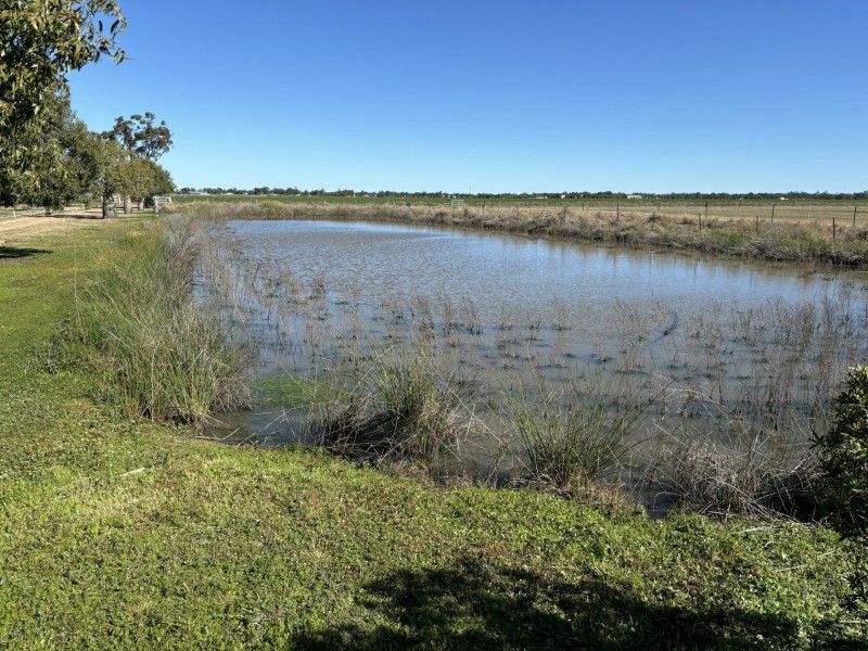 52 Polo Rd, Goondiwindi QLD 4390