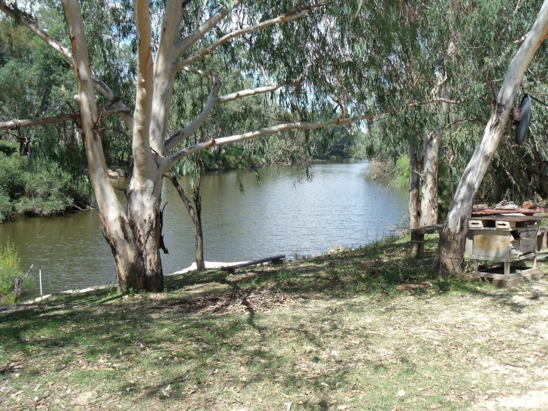 2830 Tarwoona Rd, Camp Creek NSW 4385