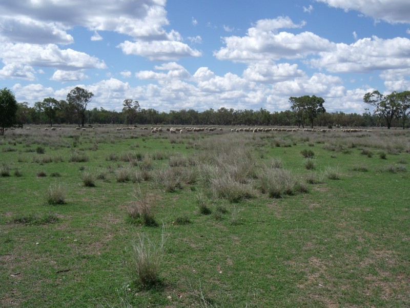2830 Tarwoona Rd, Camp Creek NSW 4385