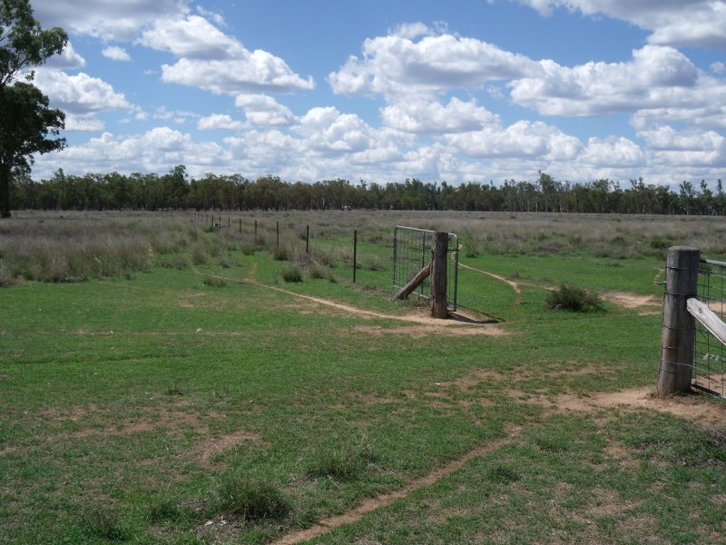 2830 Tarwoona Rd, Camp Creek NSW 4385