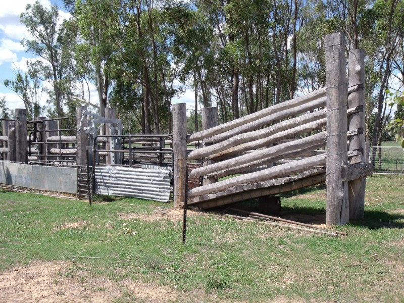 2830 Tarwoona Rd, Camp Creek NSW 4385