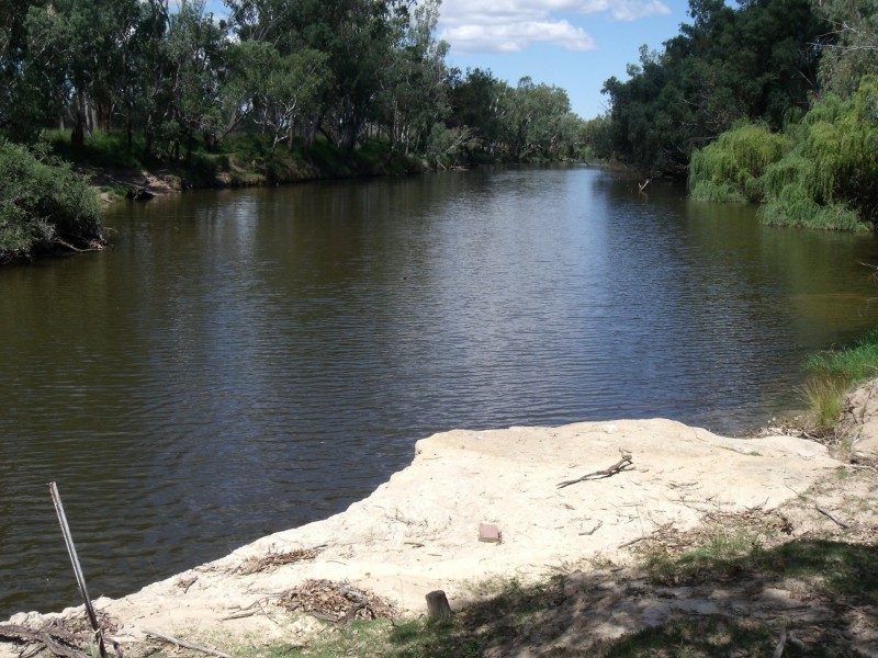 2830 Tarwoona Rd, Camp Creek NSW 4385