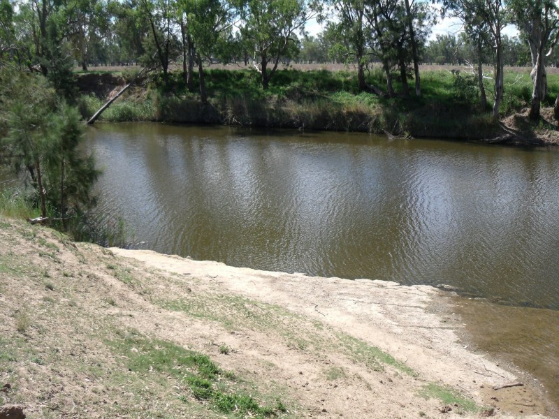 2830 Tarwoona Rd, Camp Creek NSW 4385