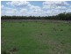 2830 Tarwoona Rd, Camp Creek NSW 4385