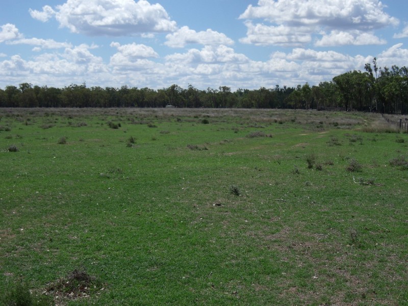 2830 Tarwoona Rd, Camp Creek NSW 4385