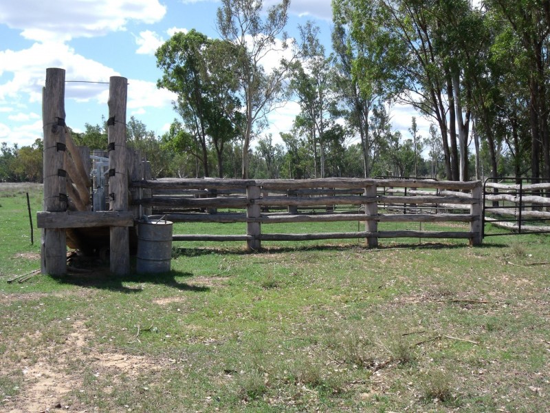 2830 Tarwoona Rd, Camp Creek NSW 4385