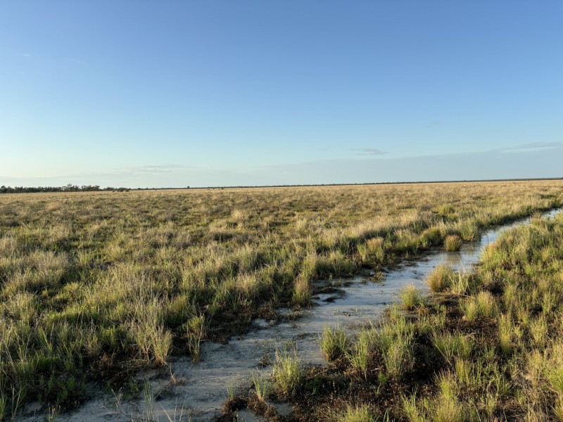 1128 Glentuckie Rd, Cuttaburra QLD 4490