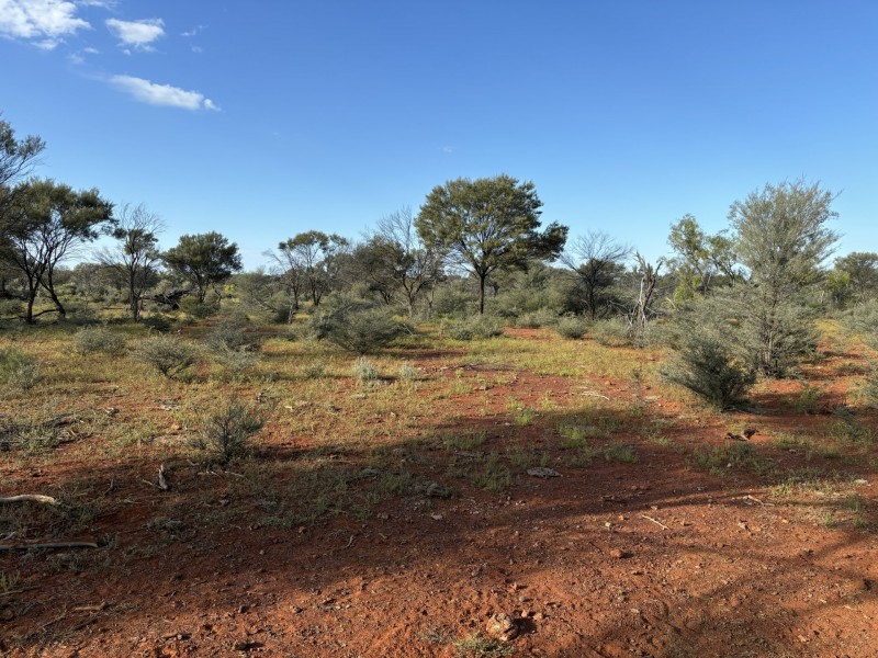 1128 Glentuckie Rd, Cuttaburra QLD 4490