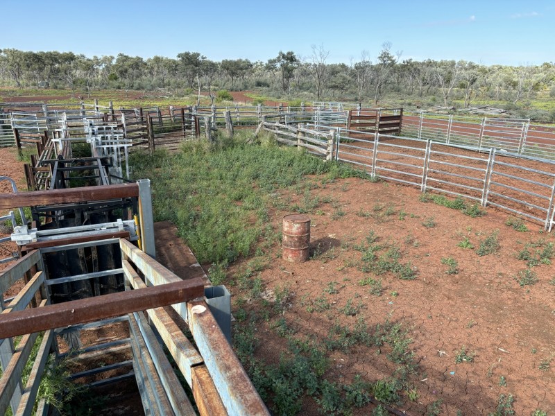 1128 Glentuckie Rd, Cuttaburra QLD 4490