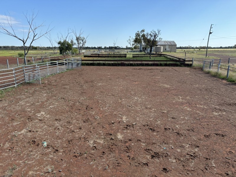 1128 Glentuckie Rd, Cuttaburra QLD 4490