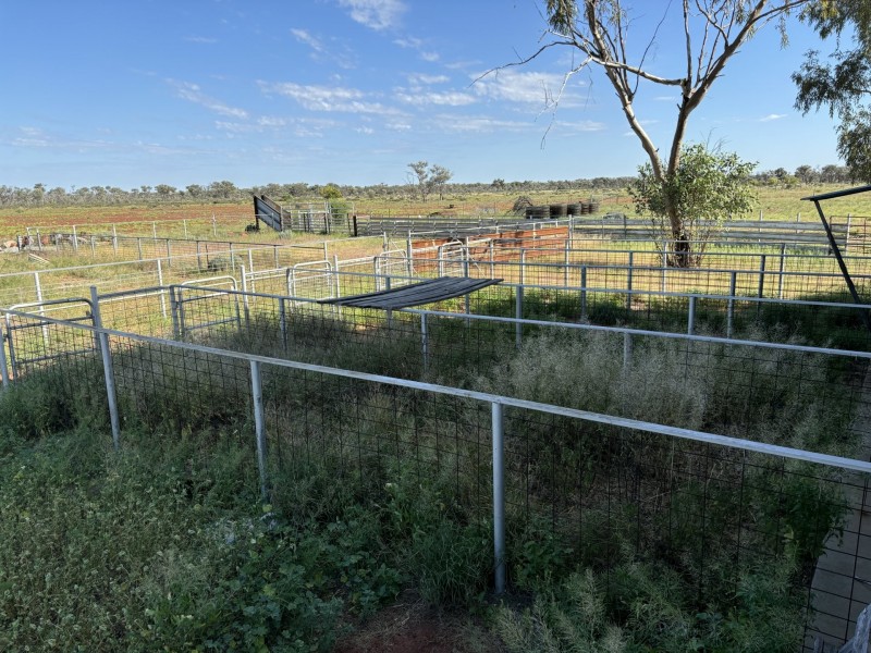 1128 Glentuckie Rd, Cuttaburra QLD 4490