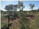 1128 Glentuckie Rd, Cuttaburra QLD 4490