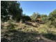 1128 Glentuckie Rd, Cuttaburra QLD 4490