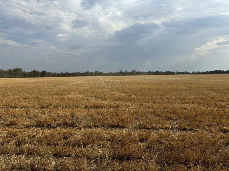 Goondiwindi QLD 4390