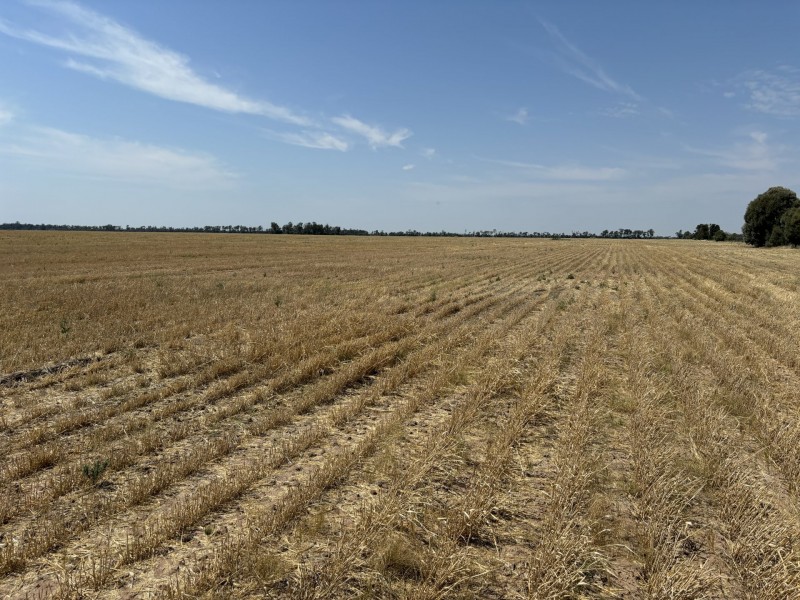 Goondiwindi QLD 4390