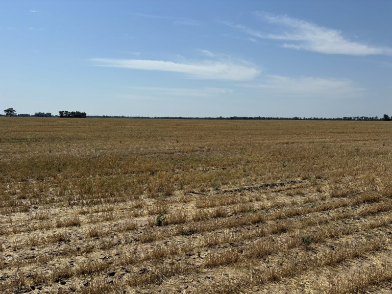 Goondiwindi QLD 4390
