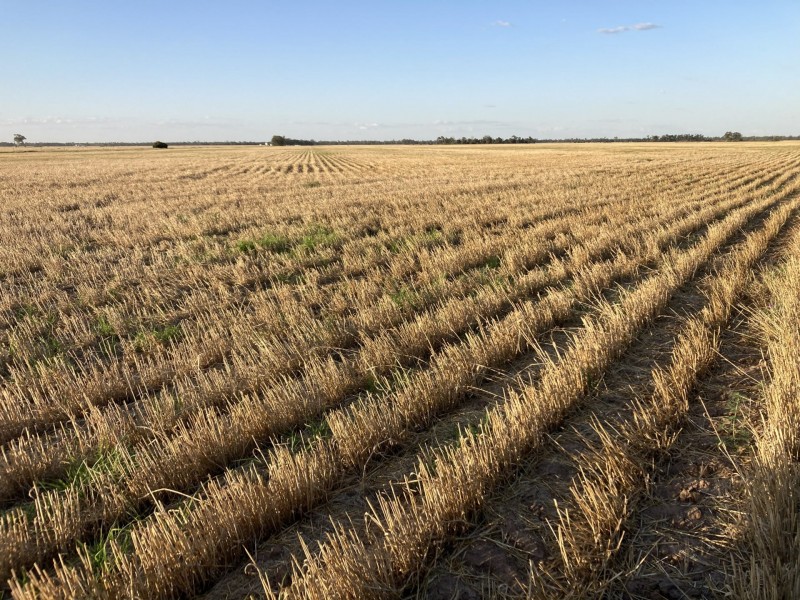 Goondiwindi QLD 4390