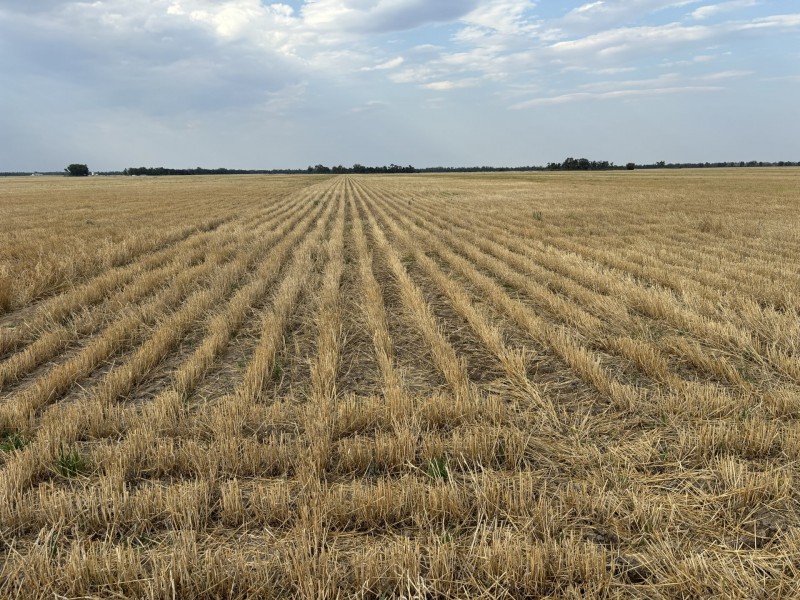 Goondiwindi QLD 4390