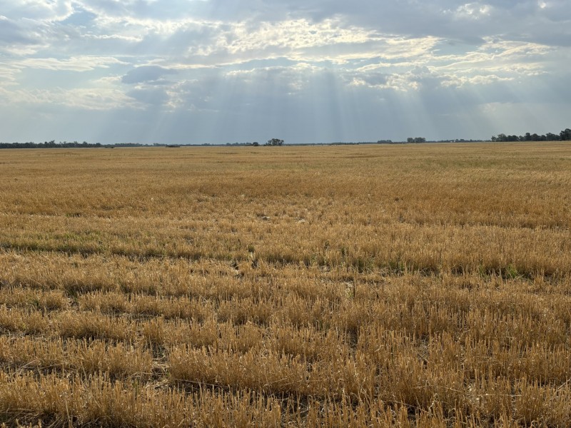 Goondiwindi QLD 4390