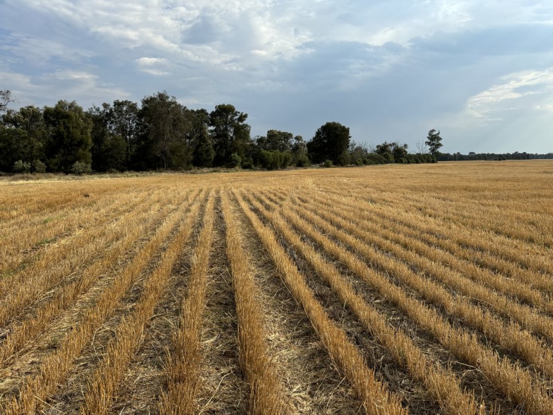 Goondiwindi QLD 4390