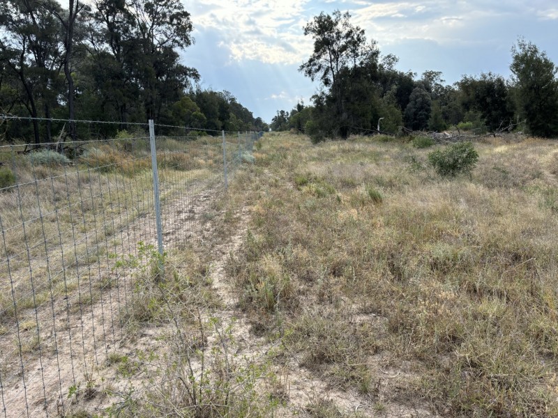 Goondiwindi QLD 4390